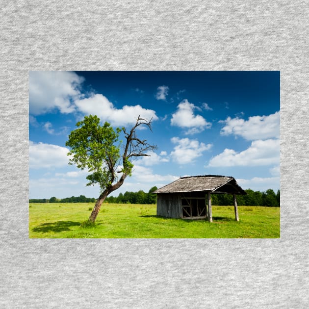 Wooden cabin and tree by naturalis